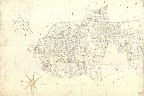 Dolus-d'Oléron - Section D (sans nom).