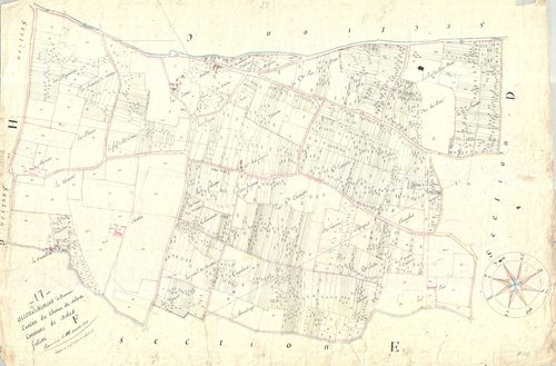 Dolus-d'Oléron - Section F (sans nom).