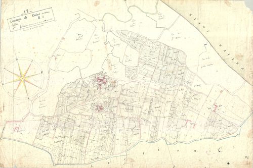 Dolus-d'Oléron - Section B1 dite des Tannes de Batifou.