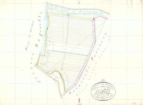 Dolus-d'Oléron - Section B3 dite des Tannes de Batifou.