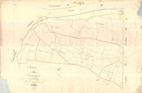 Échillais - Section D1 dite des Pichaudières.
