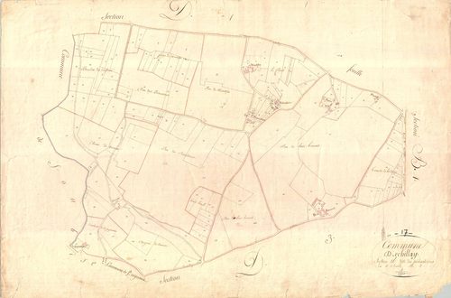 Échillais - Section D2 dite des Pichaudières.
