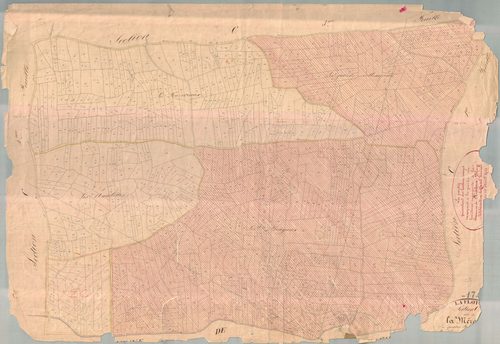 La Flotte - Section C2 dite de la Mérente. [document en mauvais état]