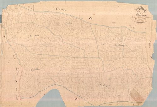 La Flotte - Section E1 dite des Chaignes. [document en mauvais état]