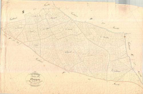 La Flotte - Section E3 dite des Chaignes.
