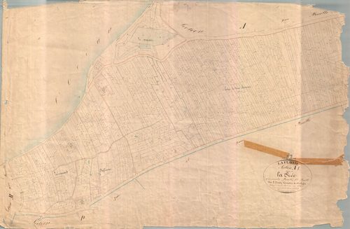 La Flotte - Section A1 dite de la Brée. [document en mauvais état]