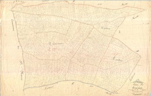 La Flotte - Section F1 dite des Courans. [document en mauvais état]