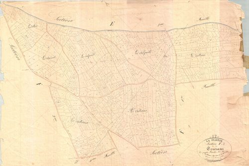 La Flotte - Section F2 dite des Courans. [document en mauvais état]