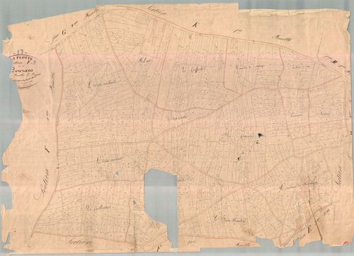 La Flotte - Section F3 dite des Courans. [document en mauvais état]