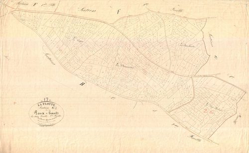 La Flotte - Section G2 dite des Peux Hauts. [document en mauvais état]