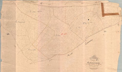 La Flotte - Section H2 dite de Falimozaux. [document en mauvais état]