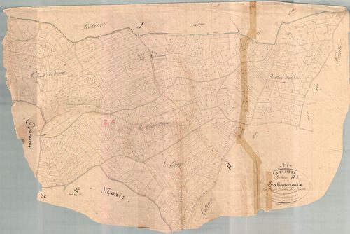La Flotte - Section H3 dite de Falimozaux. [document en mauvais état]