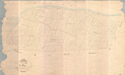 La Flotte - Section A2 dite de la Brée. [document en mauvais état]