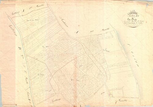 La Flotte - Section A3 dite de la Brée. [document en mauvais état]