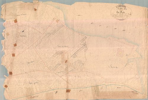 La Flotte - Section A4 dite de la Brée. [document en mauvais état]