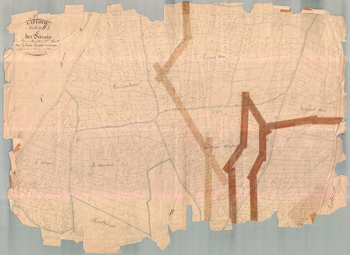 La Flotte - Section B1 dite des Purais. [document en mauvais état]