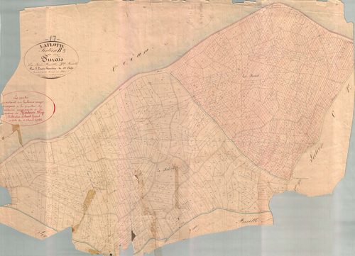 La Flotte - Section B3 dite des Purais. [document en mauvais état]