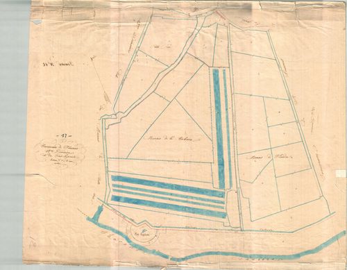 Fouras - 12ème division (sans nom).