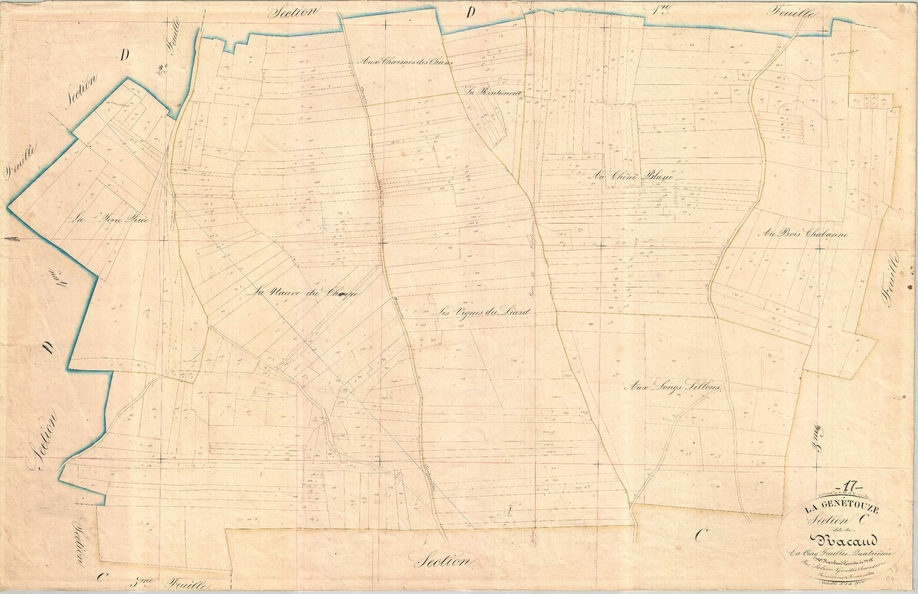 La Genétouze - Section C4 dite du Racaud.