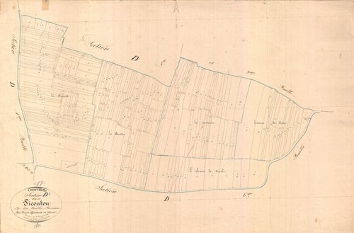 Gourvillette - Section D3 dite de Picoutou.