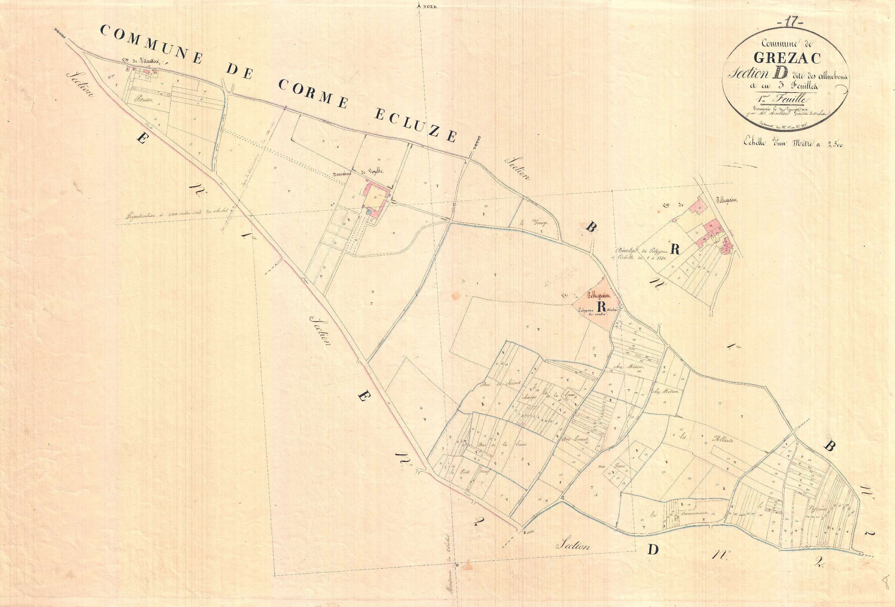 Grézac - Section D1 dite des Alluchons.