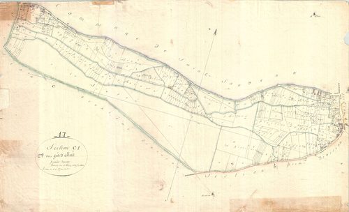 Le Gué-d'Alleré - Section C1 dite de Rioux.