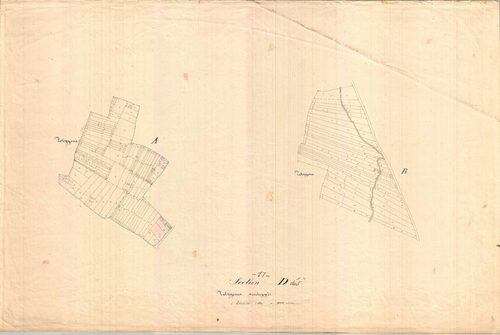 La Jarrie-Audouin - Section D développement dite des Grands Prés.
