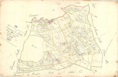Landes - Section D1 dite de la Fougère.
