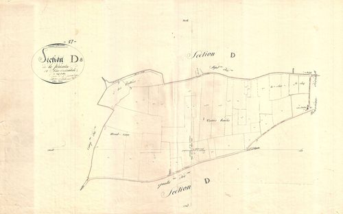 Marans - Section D8 dite de la Pénissière.