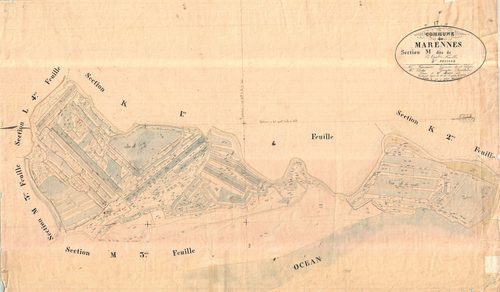 Marennes - Section M4 dite de Cagouillac.