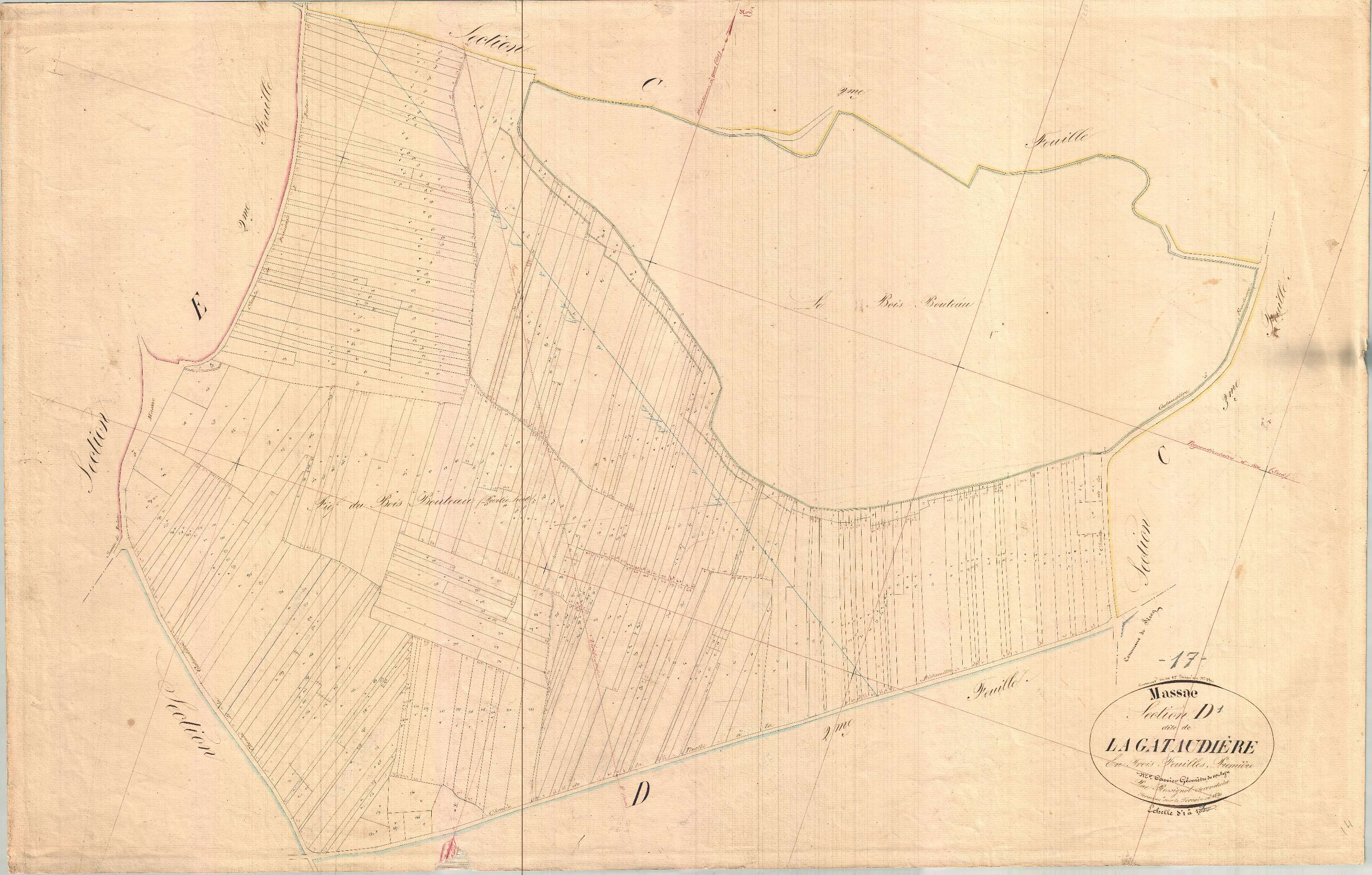 Massac - Section D1 dite de la Gataudière.
