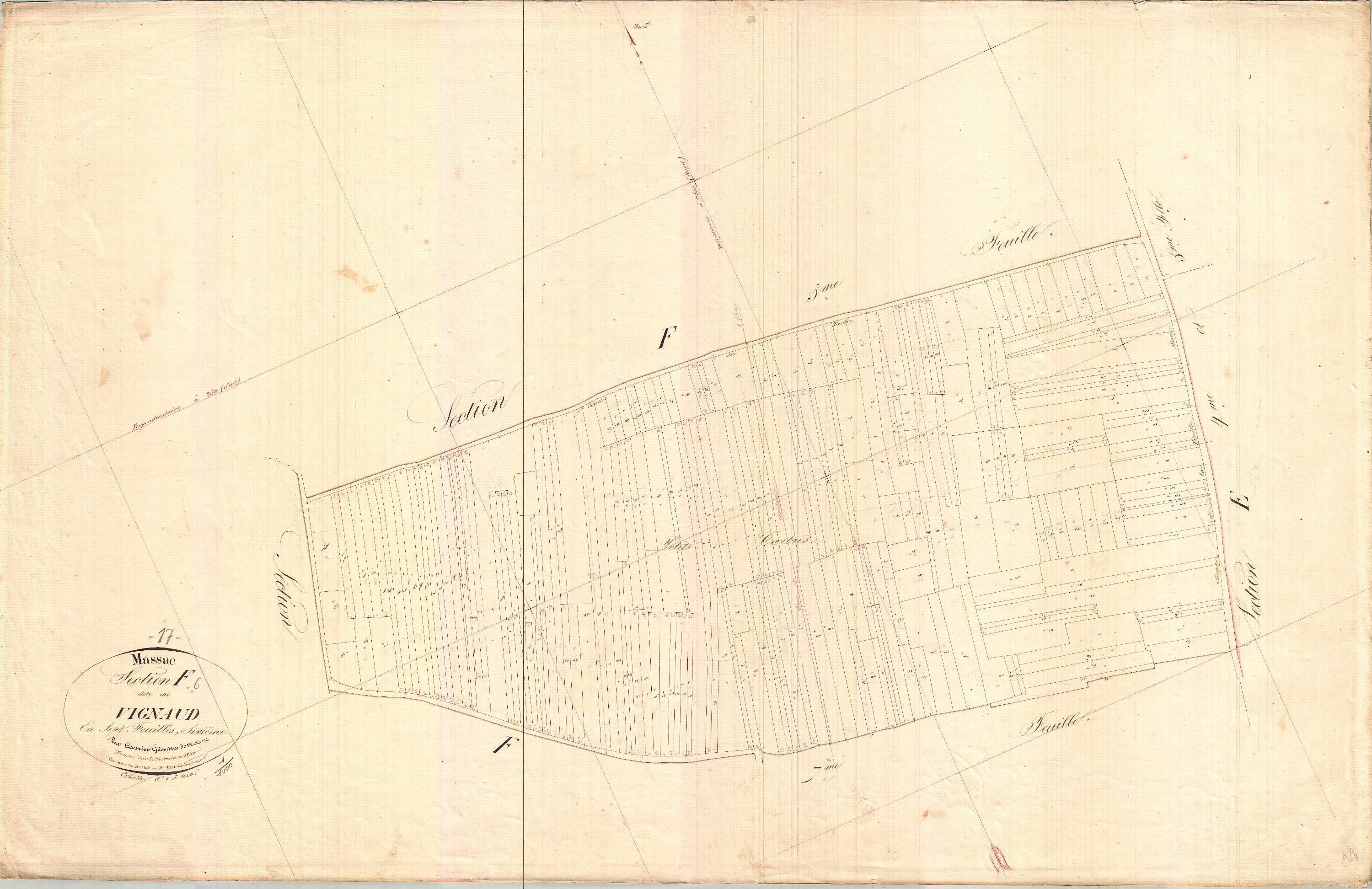 Massac - Section F6 dite de Vignaud.
