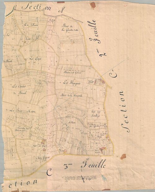 Meursac - Section C1 dite de Chatelard. [document en mauvais état]