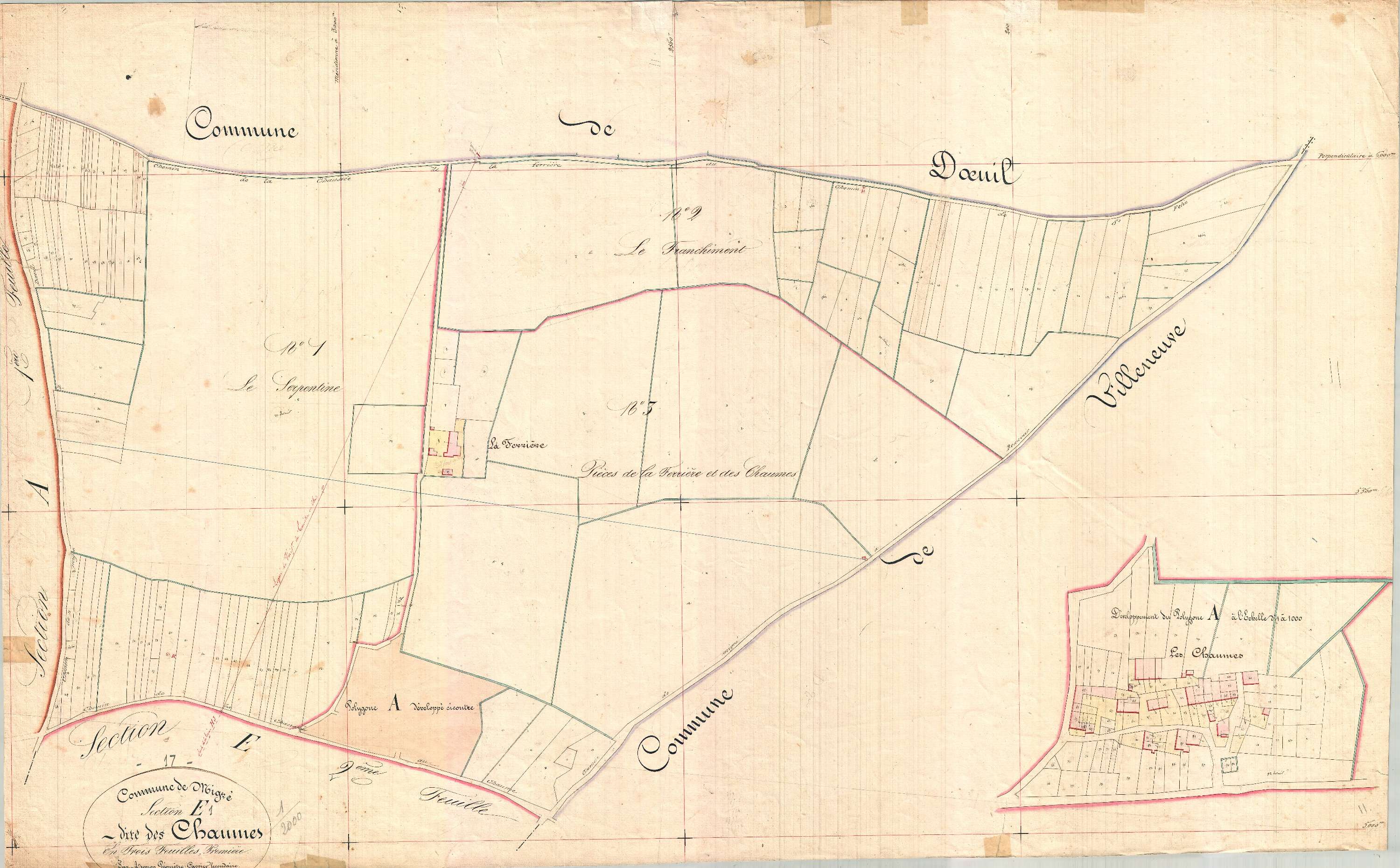 Migré - Section E1 dite des Chaumes.