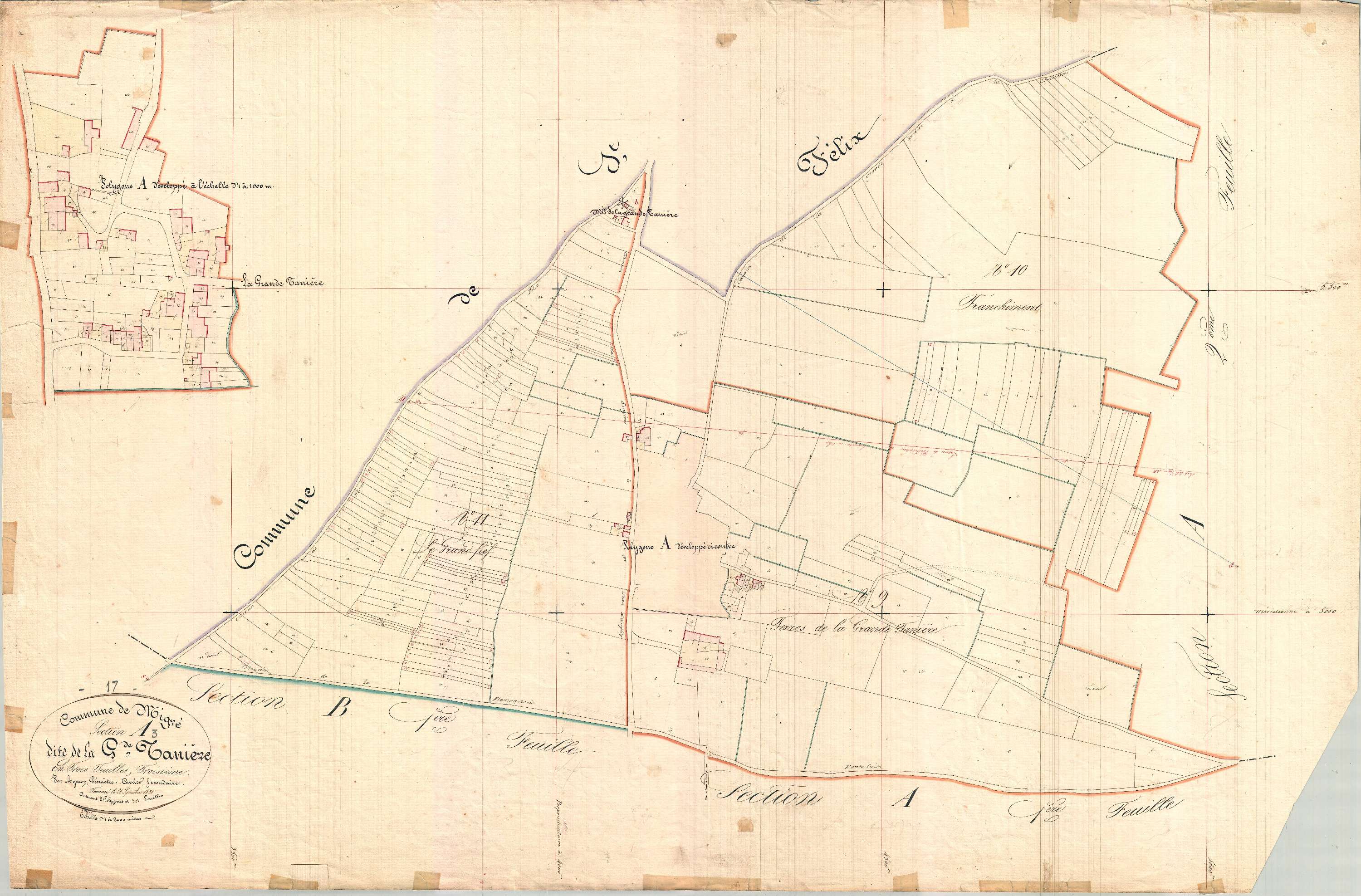 Migré - Section A3 dite de la Grande Tallière.