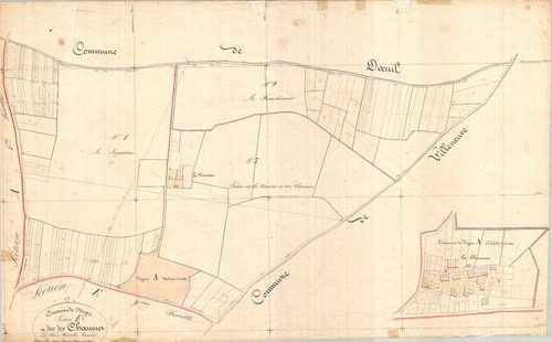 Migré - Section E1 dite des Chaumes.