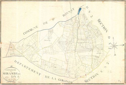 Mirambeau - Section D1 dite de Ferat et de Romport.