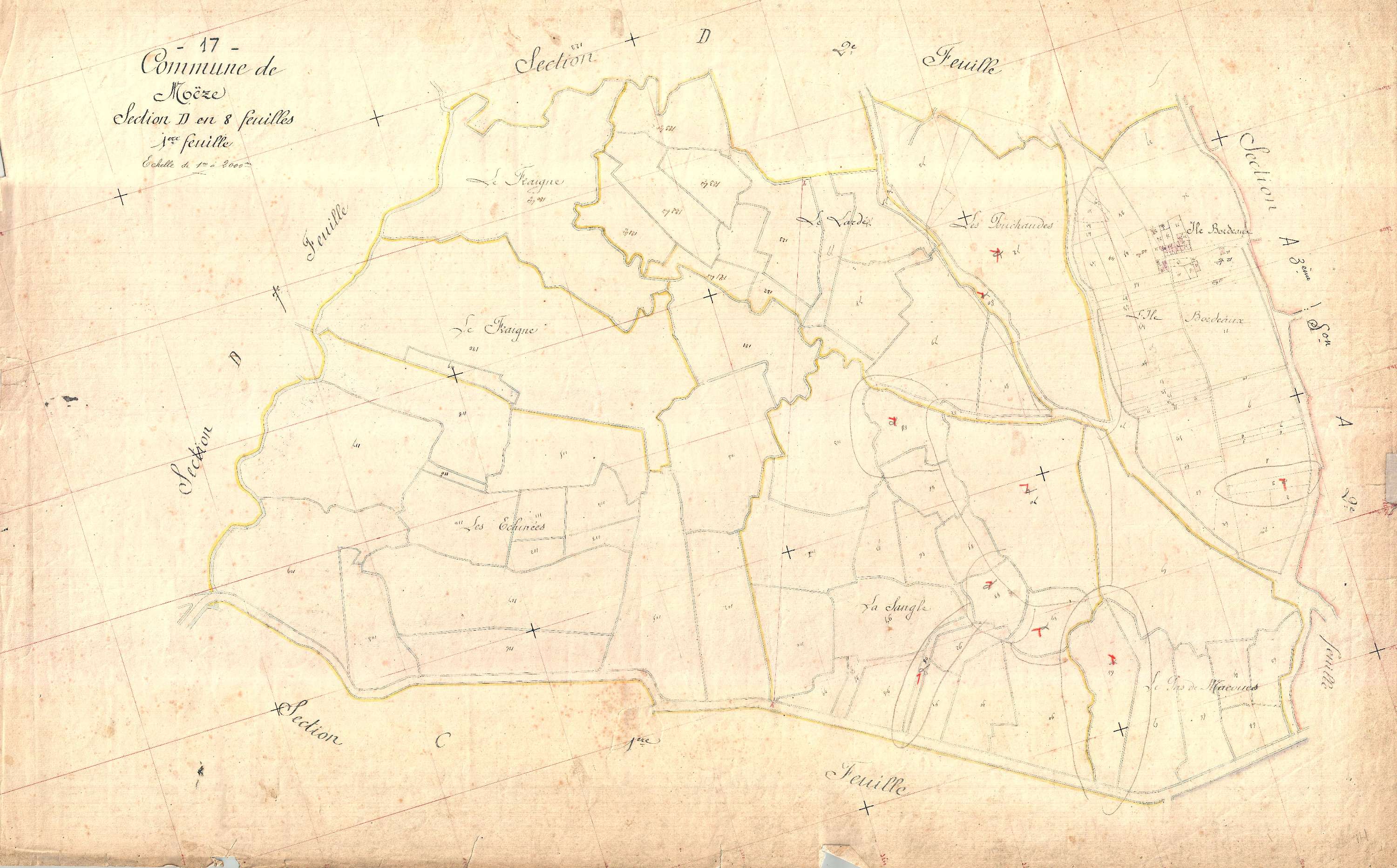 Moëze - Section D1 (sans nom).