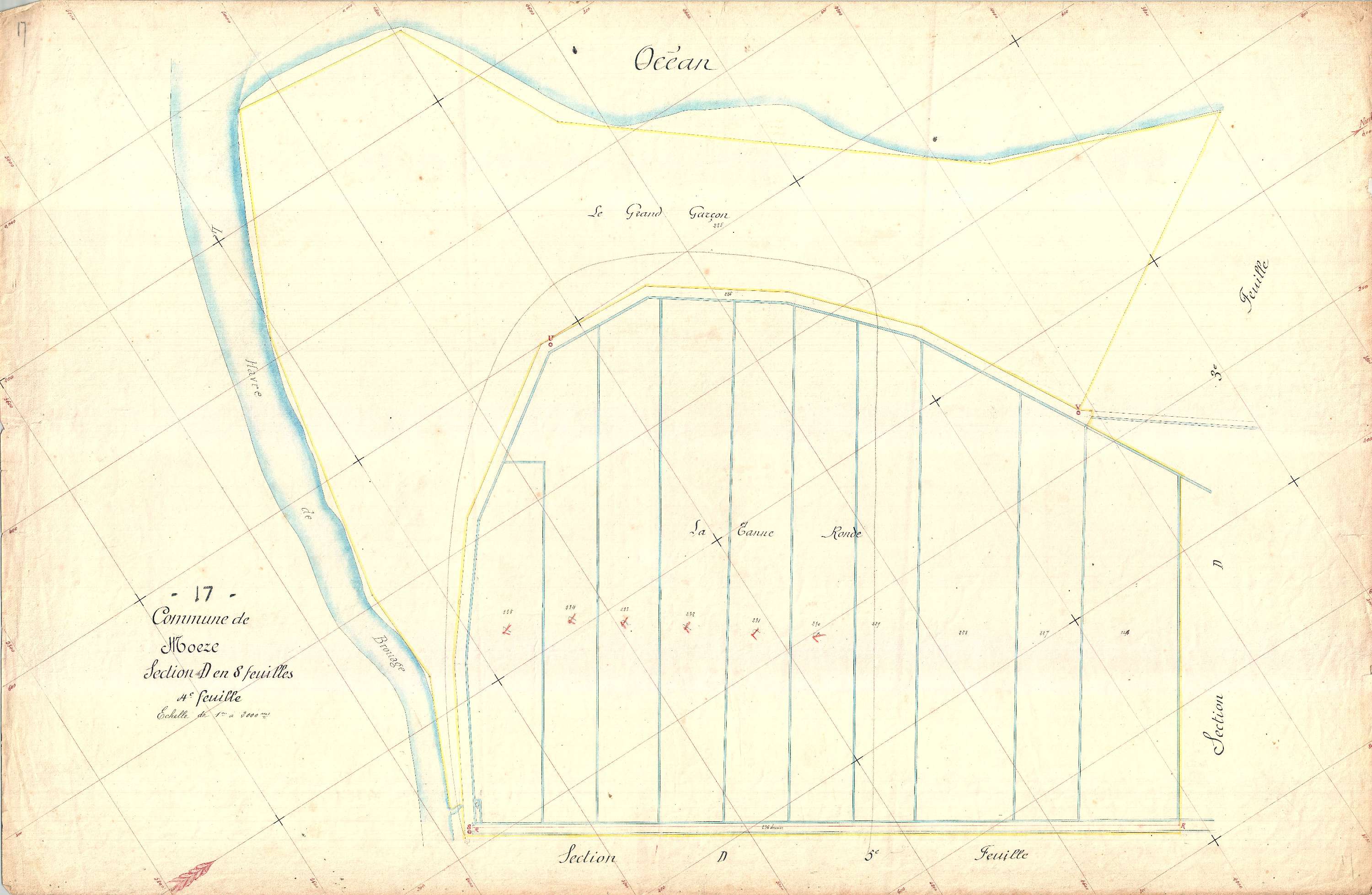 Moëze - Section D4 (sans nom).
