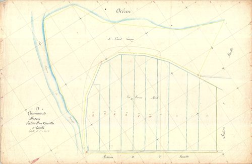 Moëze - Section D4 (sans nom).