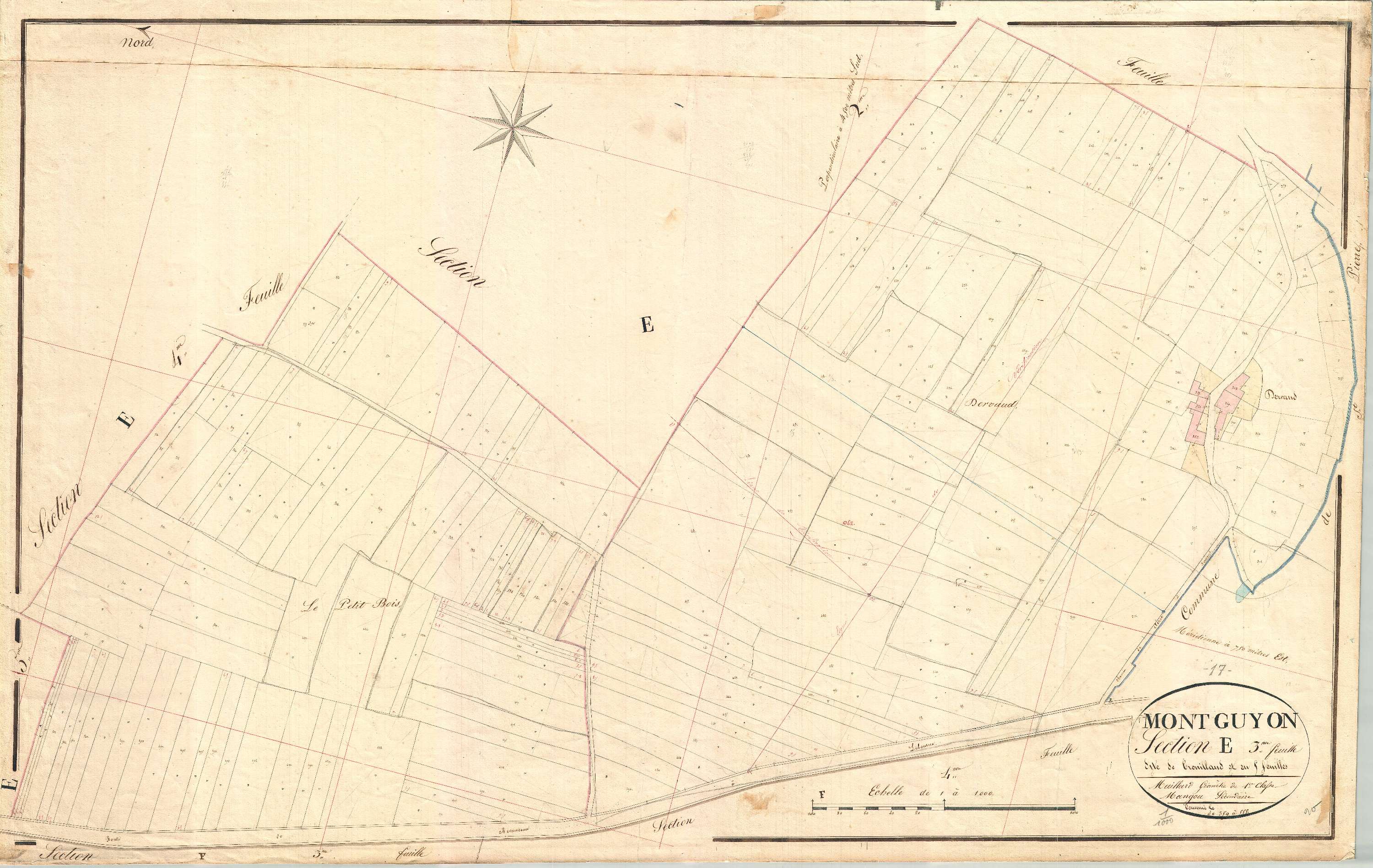 Montguyon - Section E3 dite de Trouillaud.