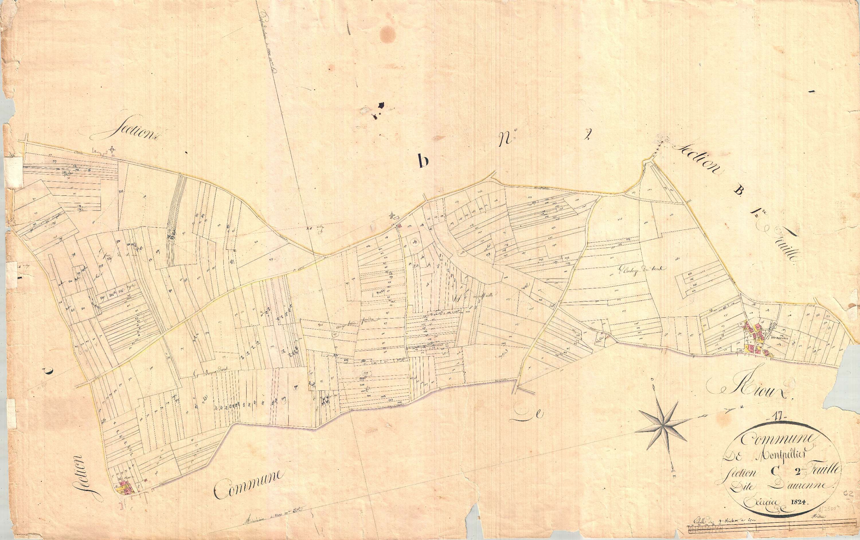 Montpellier-de-Médillan - Section C2 dite d'Anzème.