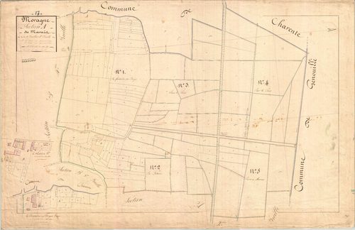 Moragne - Section A1 dite du Marais.