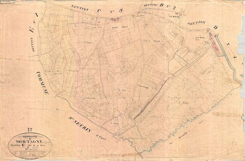 Mortagne-sur-Gironde - Section E2 dite de la Rive.