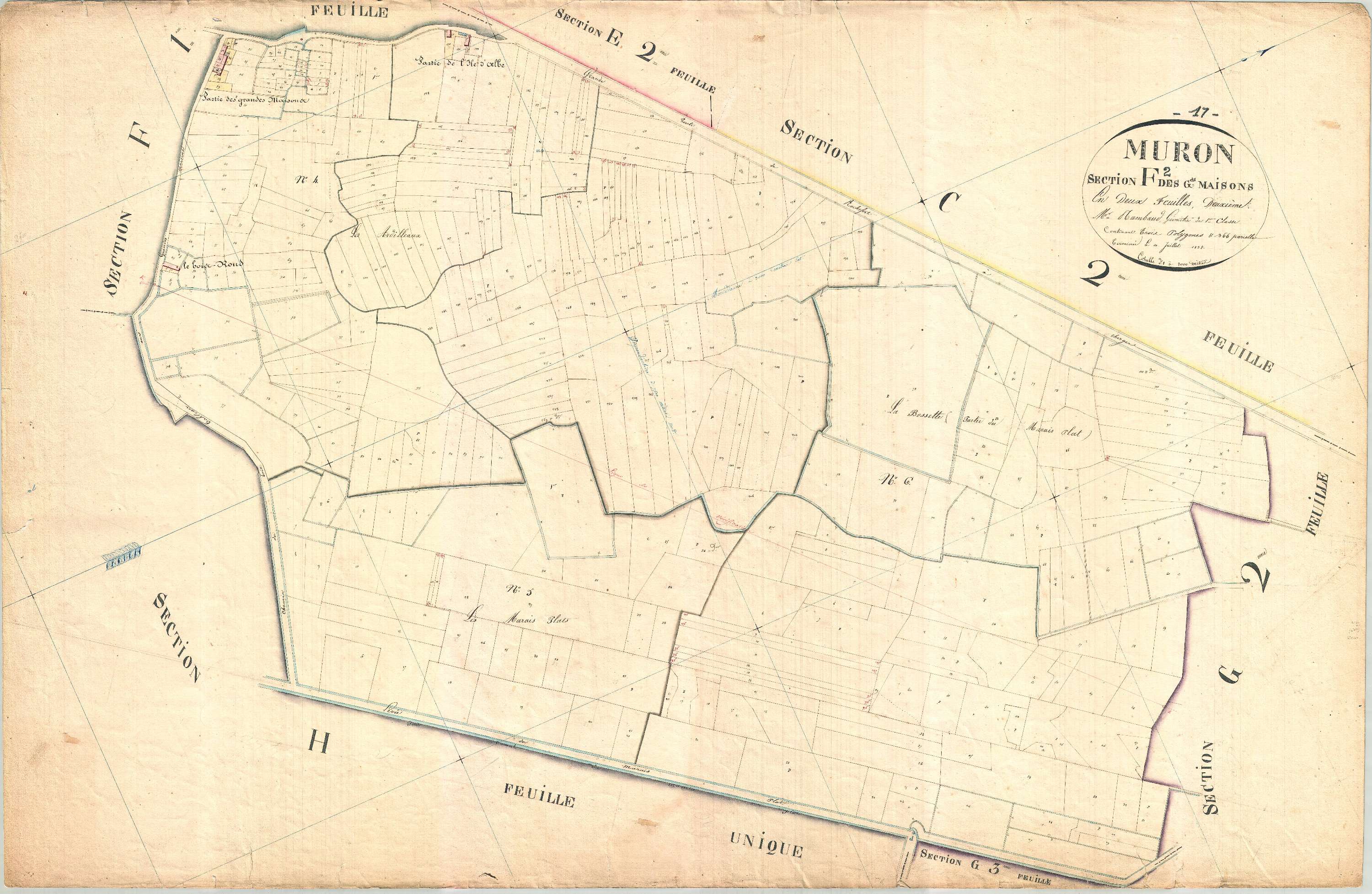 Muron - Section F2 dite des Grandes Marais.
