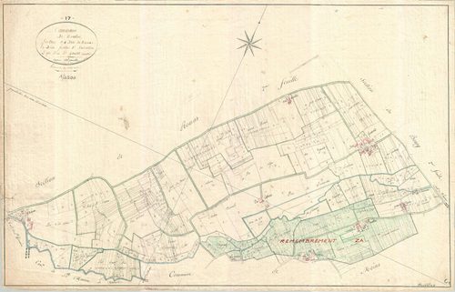 Neuillac - Section C1 dite de Roumas.