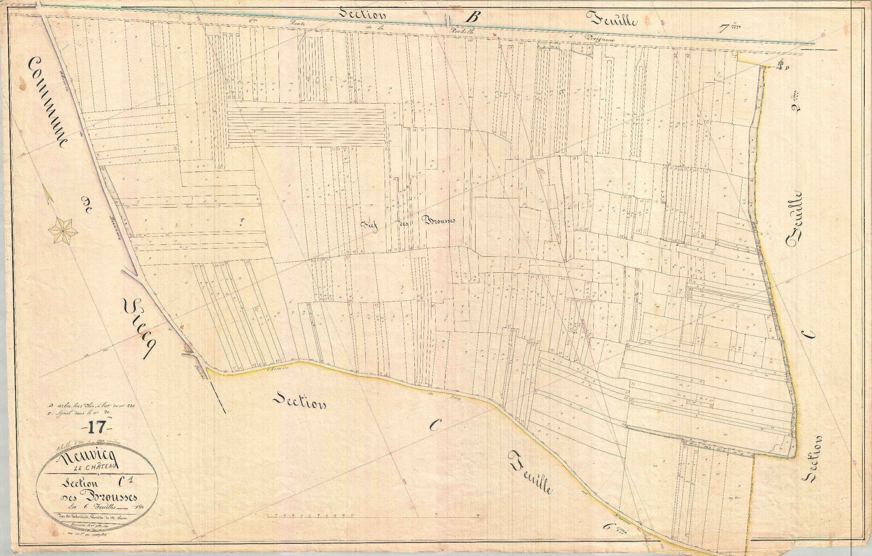 Neuvicq-le-Château - Section C1 dite des Brousses.