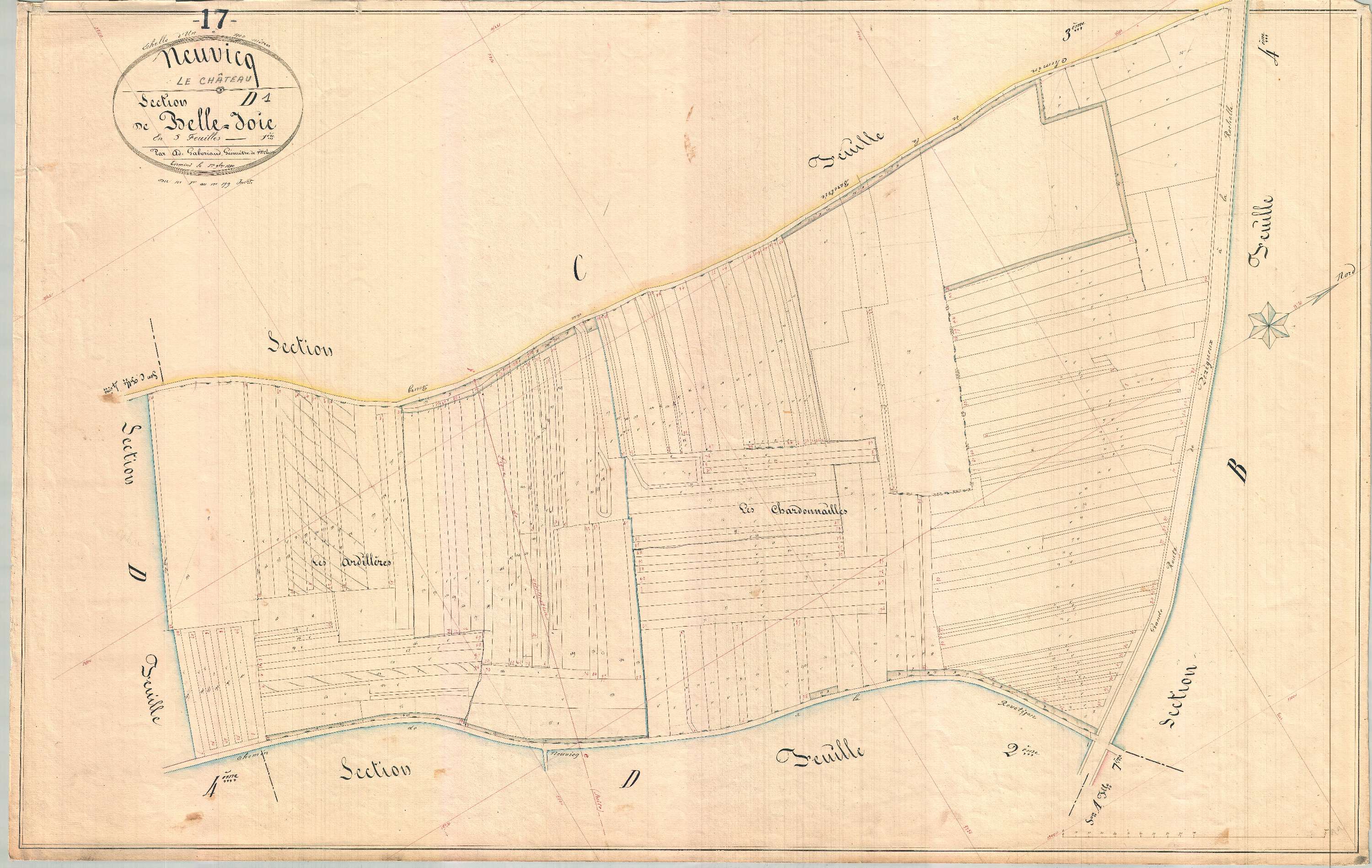 Neuvicq-le-Château - Section D1 dite de Belle Joie.