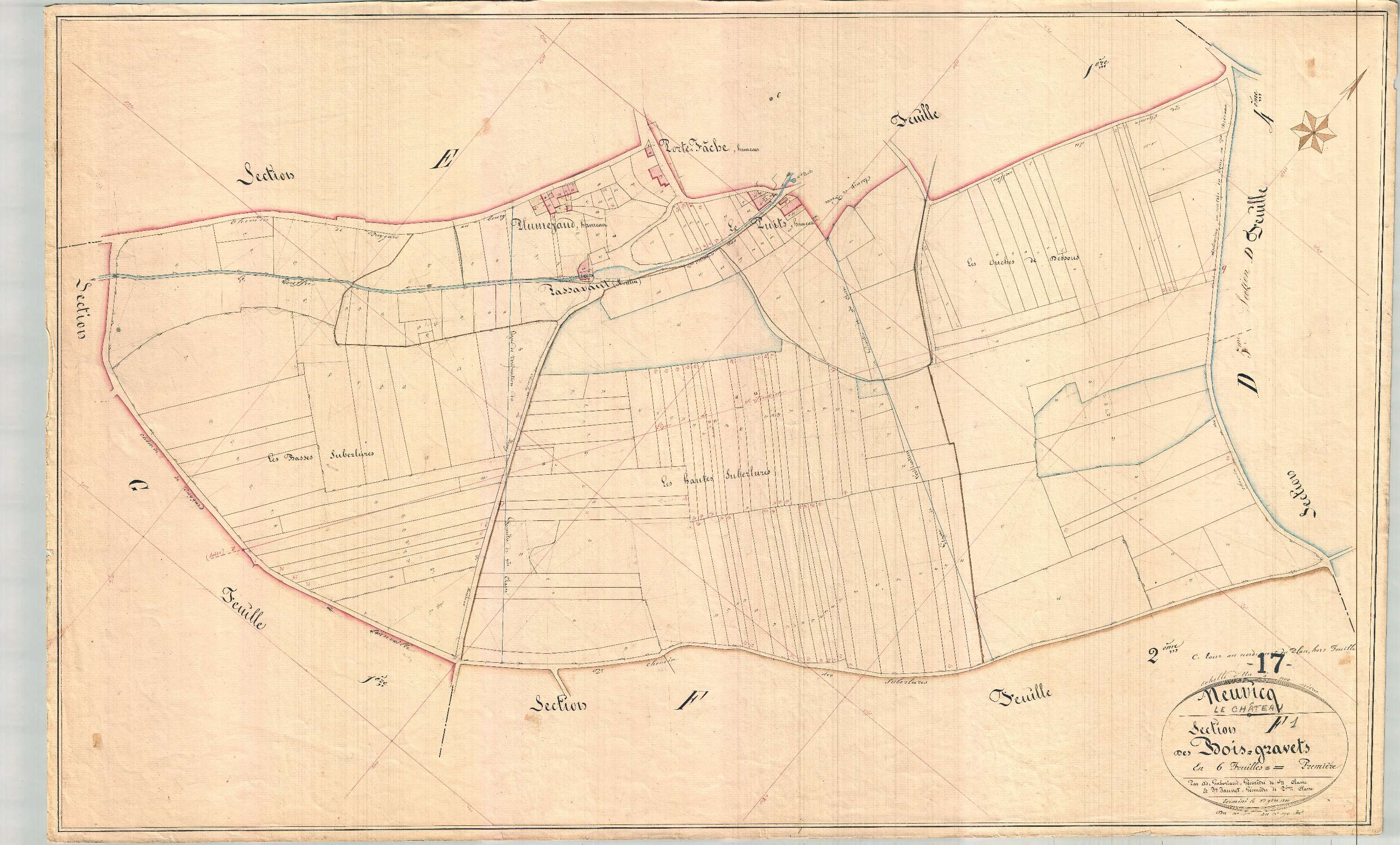 Neuvicq-le-Château - Section F1 dite des Bois Gravets.