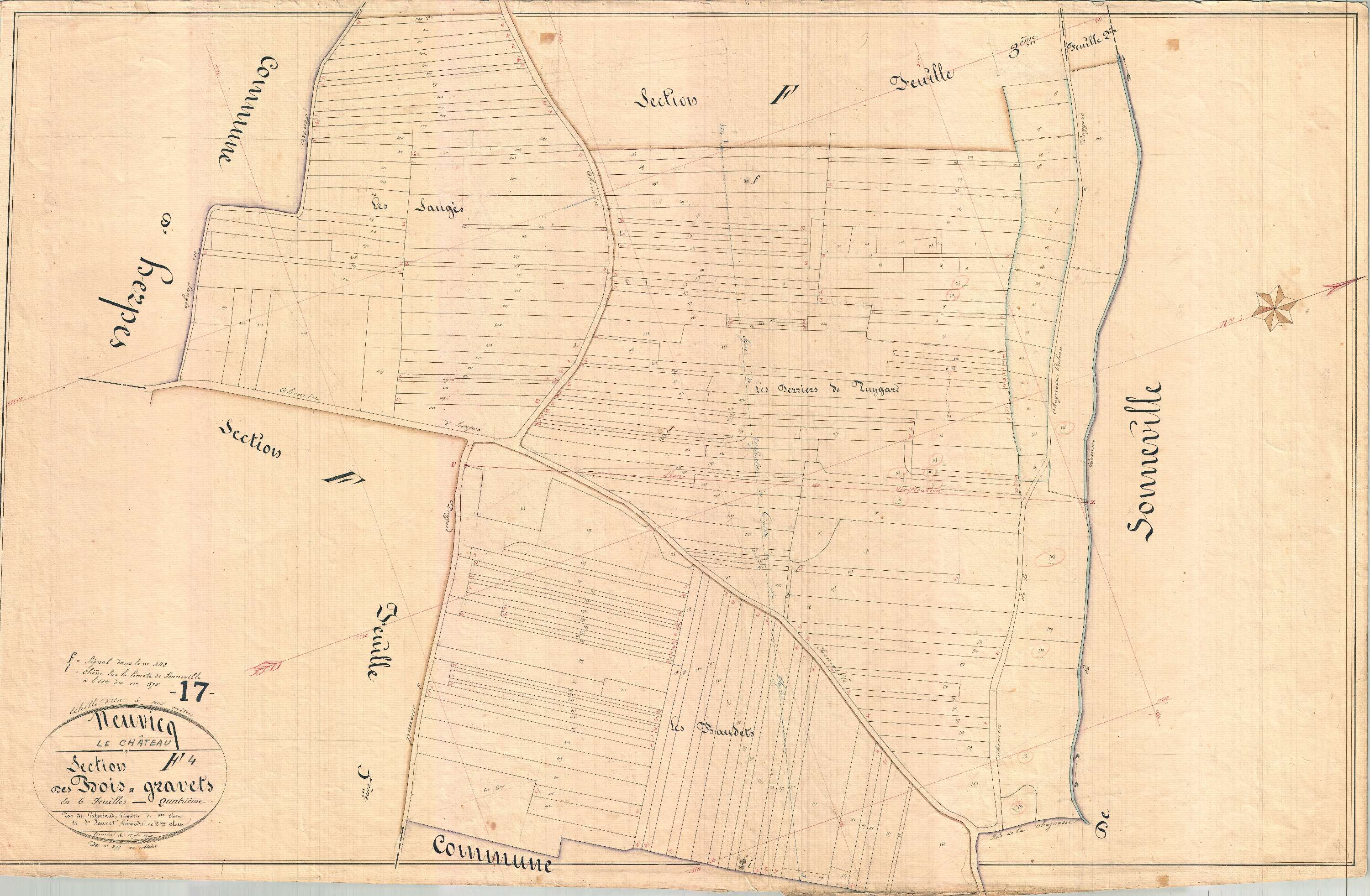Neuvicq-le-Château - Section F4 dite des Bois Gravets.